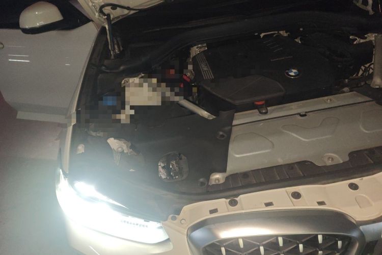 Used BMW X4 2022 xDrive 30i M Sport Package Engine Bay Right