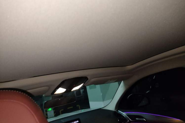 Used BMW X4 2022 xDrive 25i M Sport Package Headliner