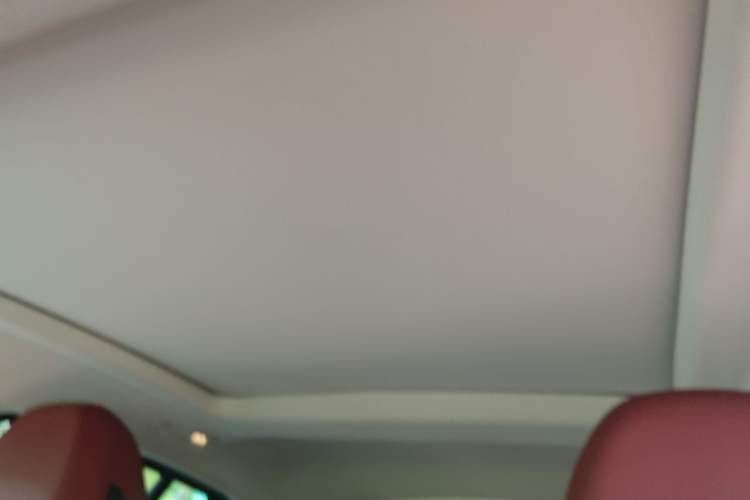 Used BMW X4 2022 xDrive 25i M Sport Package Headliner