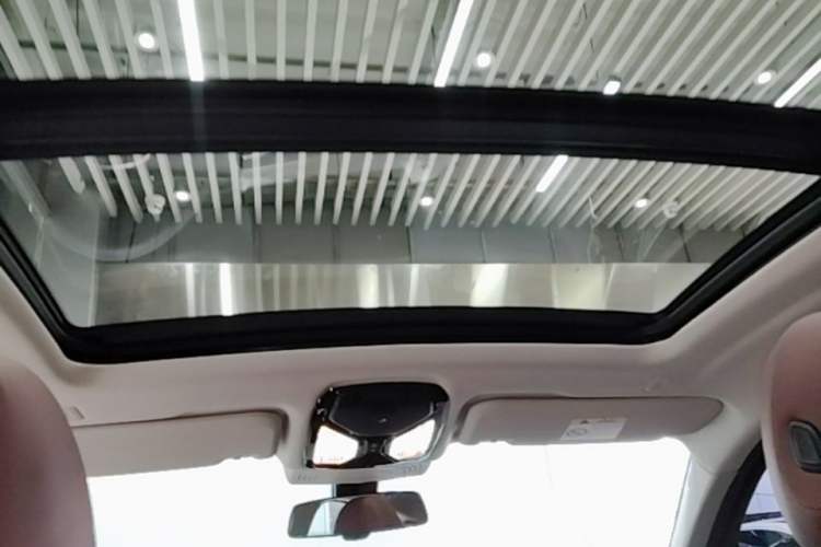Used BMW X4 2022 xDrive 25i M Sport Package Headliner