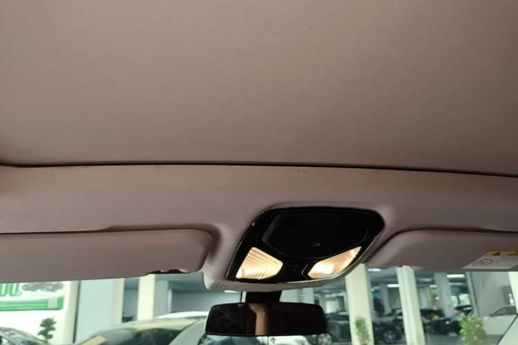 Used BMW X4 2022 xDrive 25i M Sport Package Headliner