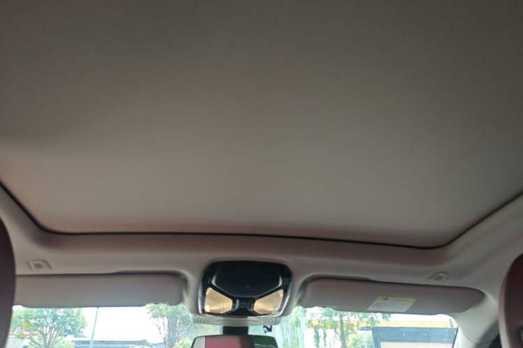 Used BMW X4 2022 xDrive 25i M Sport Package Headliner
