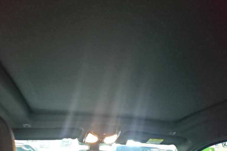Used BMW X4 M 2019 X4 M Thunder Edition Headliner