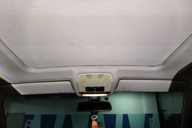 Used BMW X5  Headliner