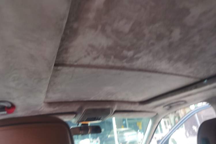 Used BMW X5 2008 xDrive30i Luxury Model Headliner