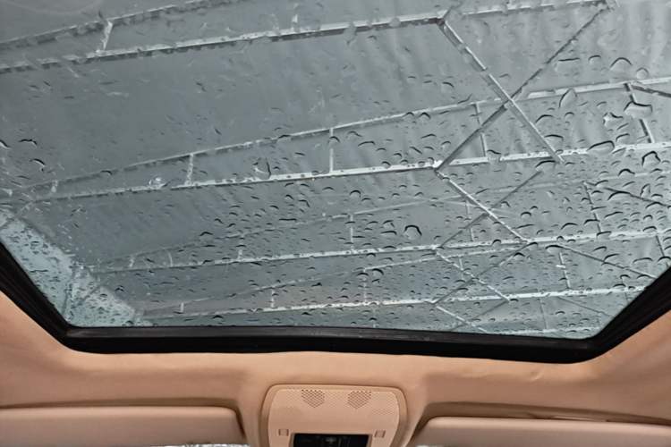 Used BMW X5 2008 xDrive30i Elegant Model Headliner