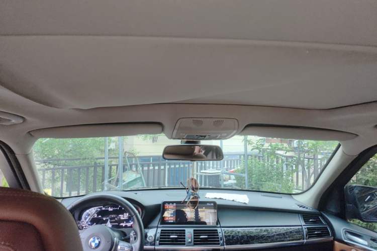 Used BMW X5 2009 xDrive30i Luxury Edition Headliner