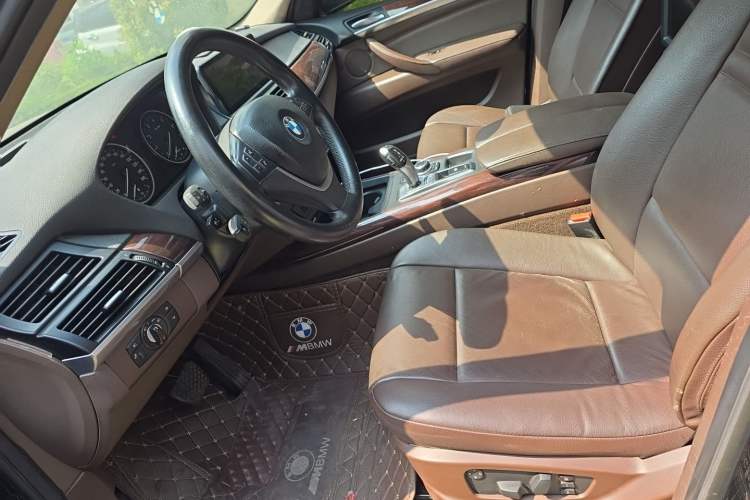 Used BMW X5 2009 xDrive30i Luxury Edition Left Front Seat
