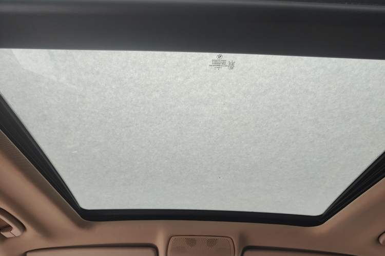Used BMW X5 2009 xDrive30i Luxury Edition Headliner