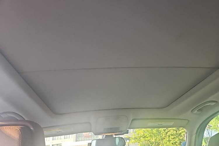 Used BMW X5 2011 xDrive35i Luxury Model Headliner