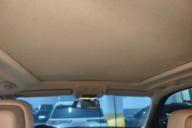 Used BMW X5 2011 xDrive35i Luxury Model Headliner