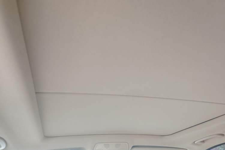 Used BMW X5  Headliner