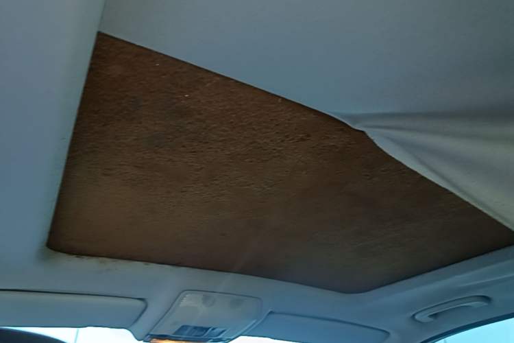 Used BMW X5 2011 xDrive35i Luxury Model Headliner