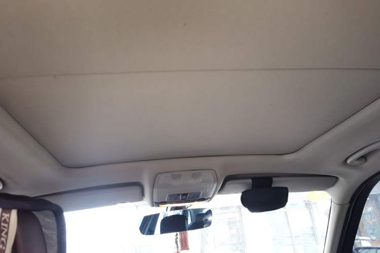 Used BMW X5 2011 xDrive35i Luxury Model Headliner