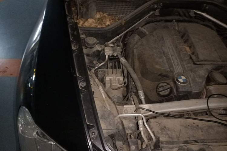 Used BMW X5 2013 xDrive35i Leading Model Engine Bay Right