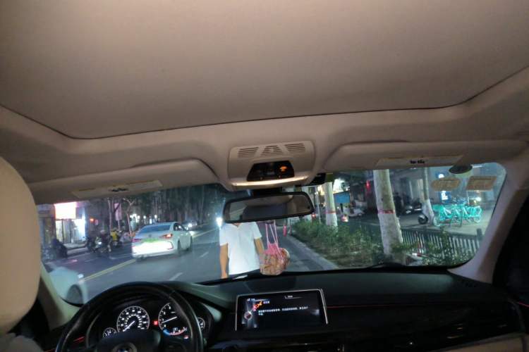 Used BMW X5  Headliner
