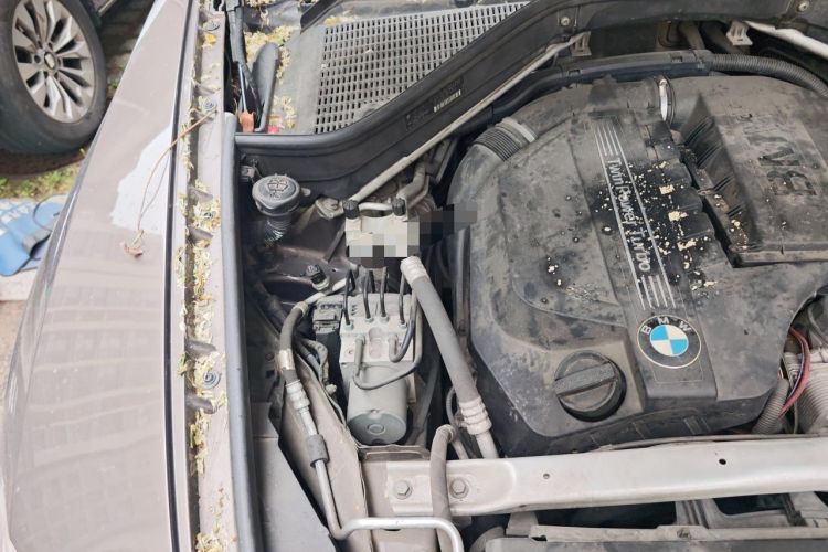 Used BMW X5 2013 xDrive35i U.S. specification Engine Bay Right