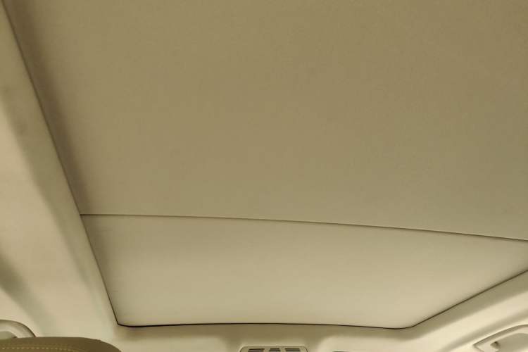 Used BMW X5  Headliner