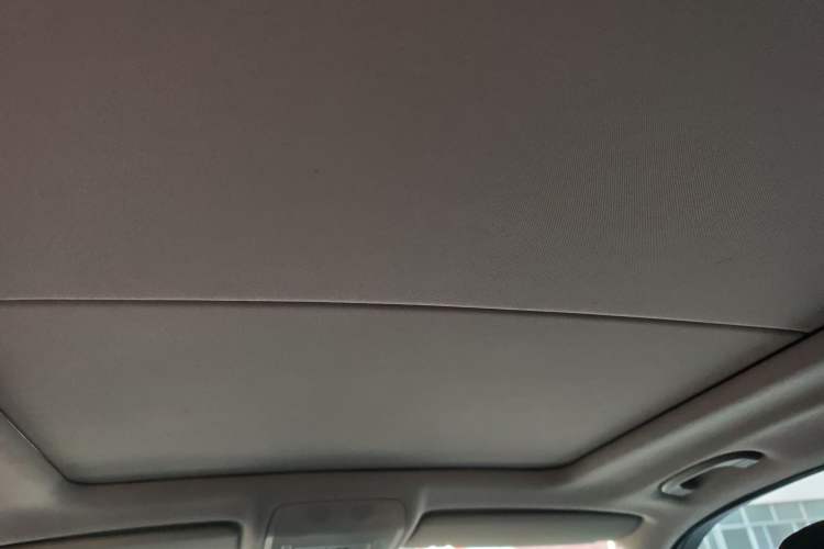 Used BMW X5  Headliner