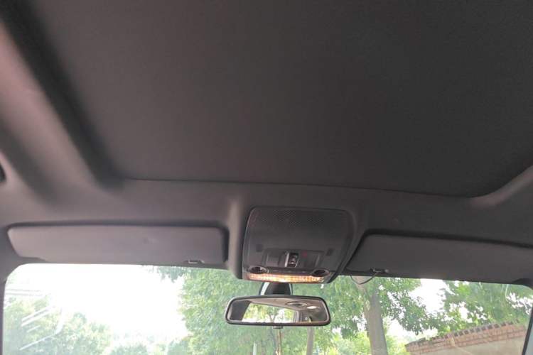 Used BMW X5  Headliner