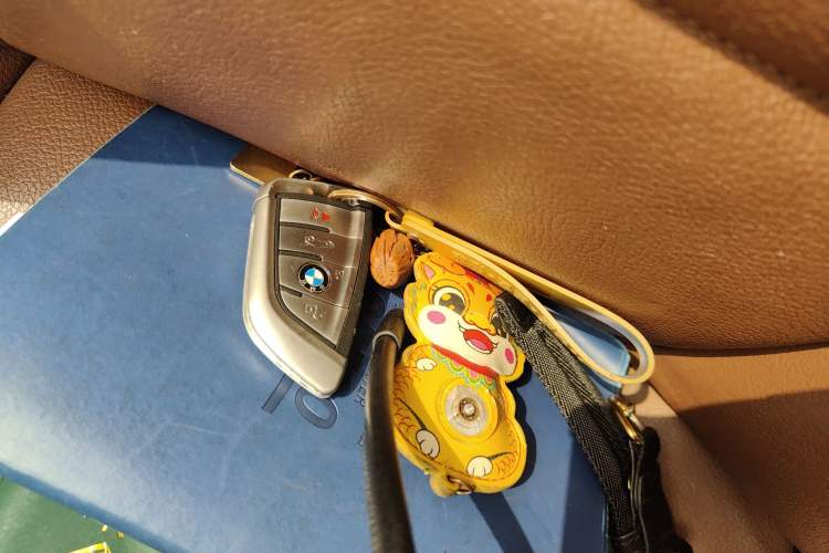 Used BMW X5  Vehicle Key