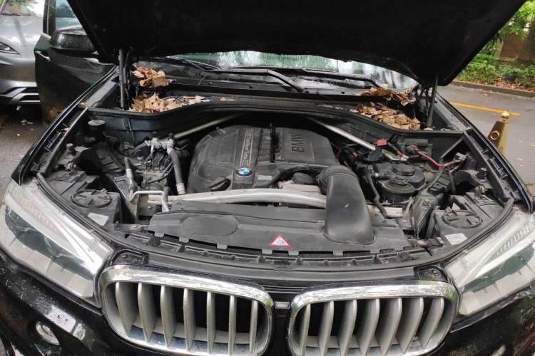 Used BMW X5 2014 xDrive35i Luxury Edition Engine Bay