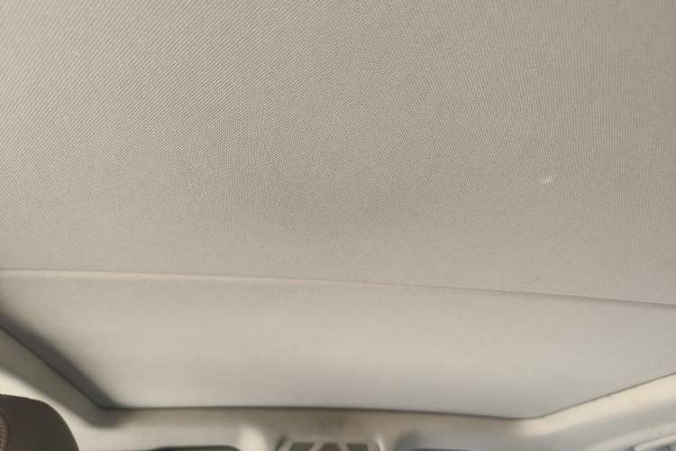 Used BMW X5 2014 xDrive35i Elegant Edition Headliner