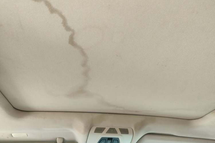 Used BMW X5 2014 xDrive30d Headliner