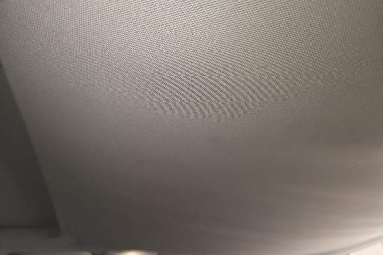 Used BMW X5 2014 xDrive35i Elegant Edition Headliner