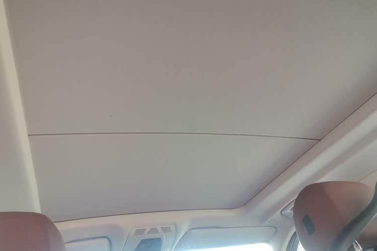Used BMW X5 2014 xDrive35i Elegant Edition Headliner