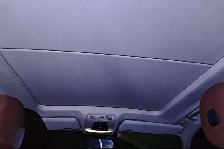 Used BMW X5 2014 xDrive35i Elegant Edition Headliner