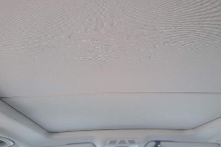 Used BMW X5 2014 xDrive35i Elegant Edition Headliner