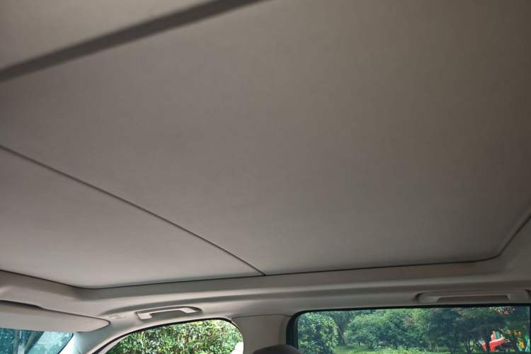 Used BMW X5 2014 xDrive35i Elegant Edition Headliner
