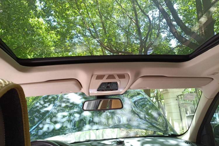Used BMW X5 2014 xDrive35i Elegant Edition Headliner