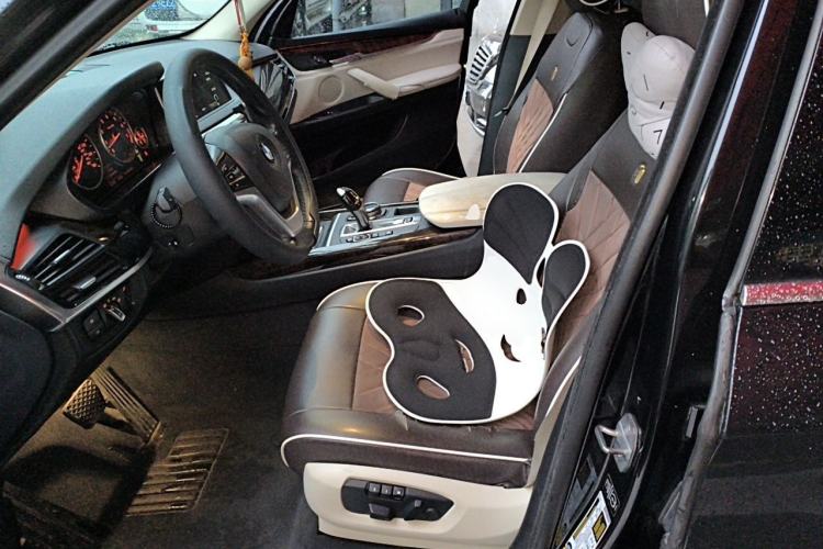 Used BMW X5  Left Front Seat