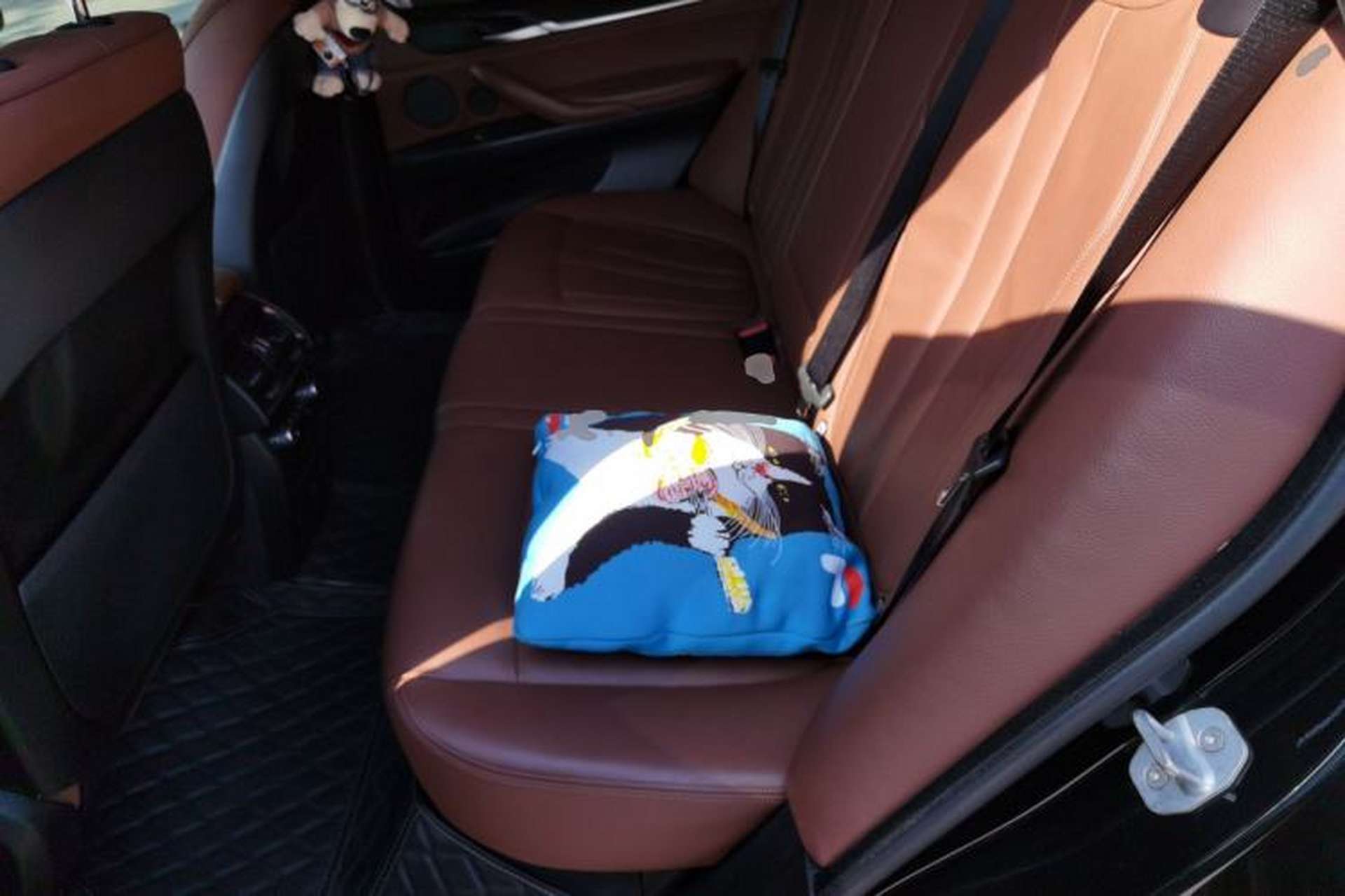 Used BMW X5 2014 xDrive35i Leading Model Left Rear Seat