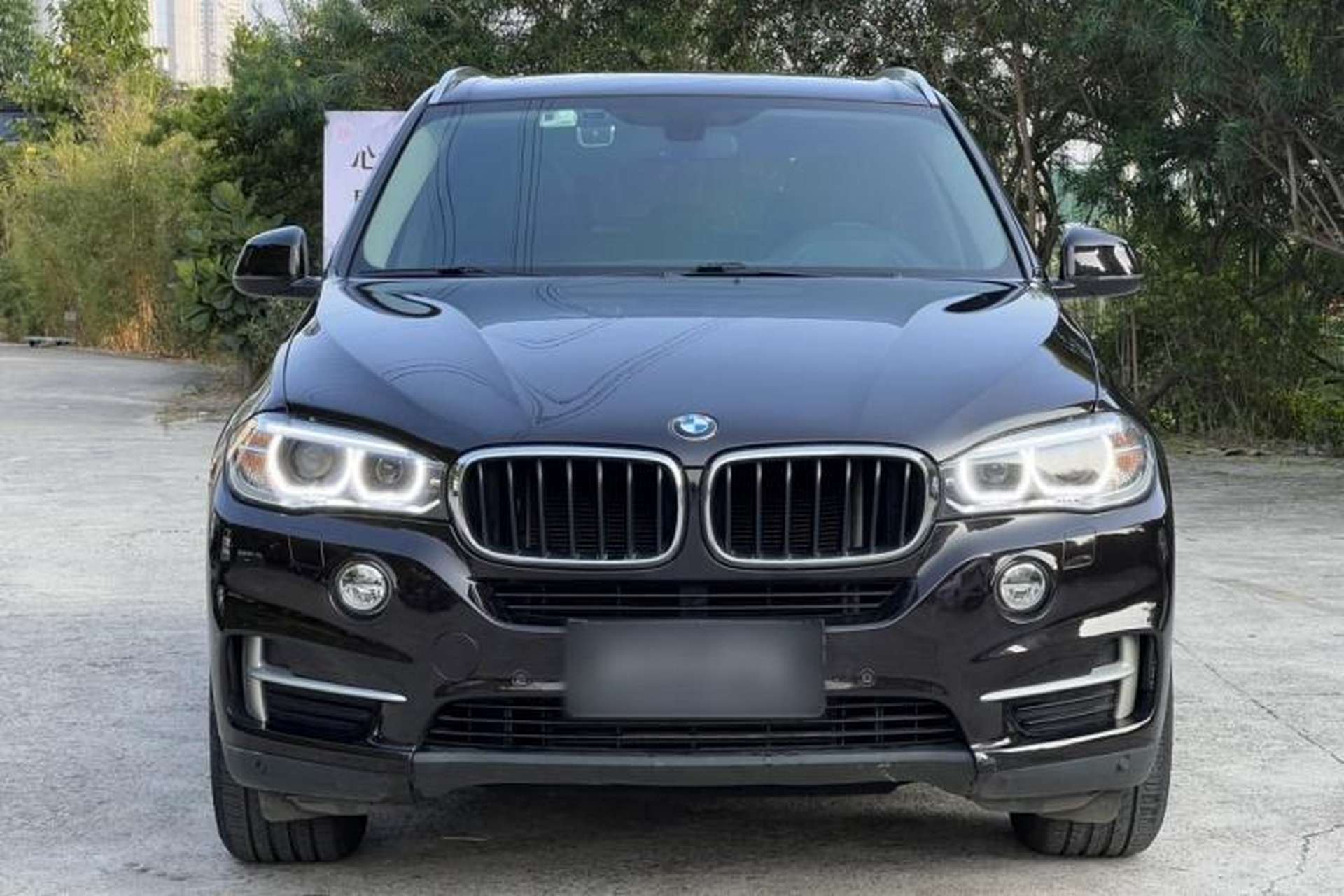 Used BMW X5 2014 xDrive35i Leading Model Exterior 1