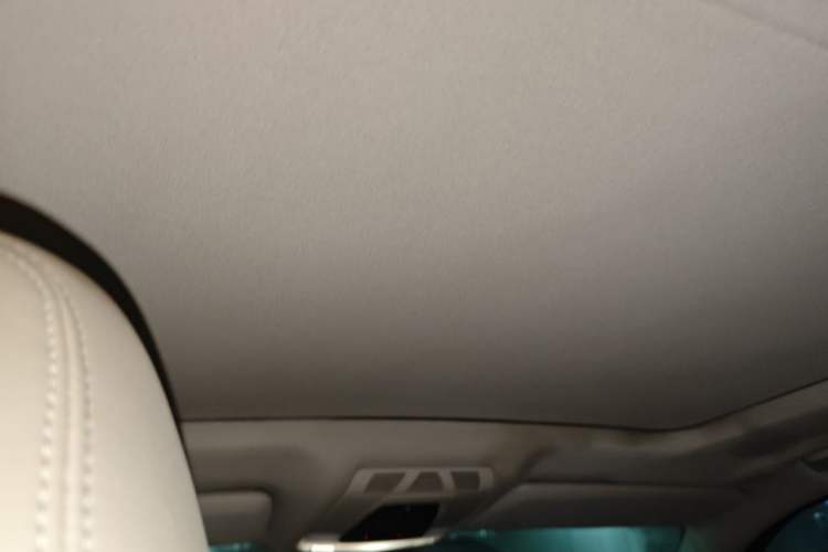 Used BMW X5 2014 xDrive35i Elegant Edition Headliner