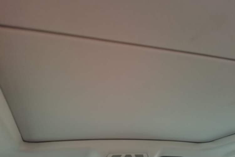 Used BMW X5 2014 xDrive35i Elegant Edition Headliner