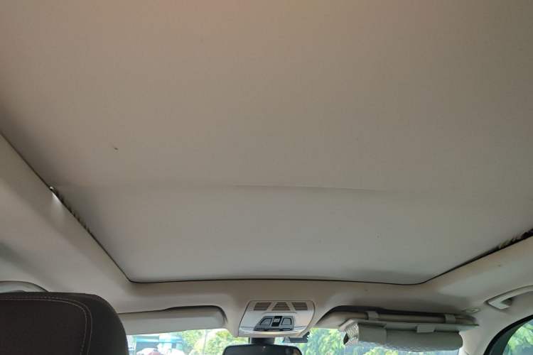 Used BMW X5 2014 xDrive30d Headliner