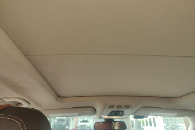 Used BMW X5  Headliner