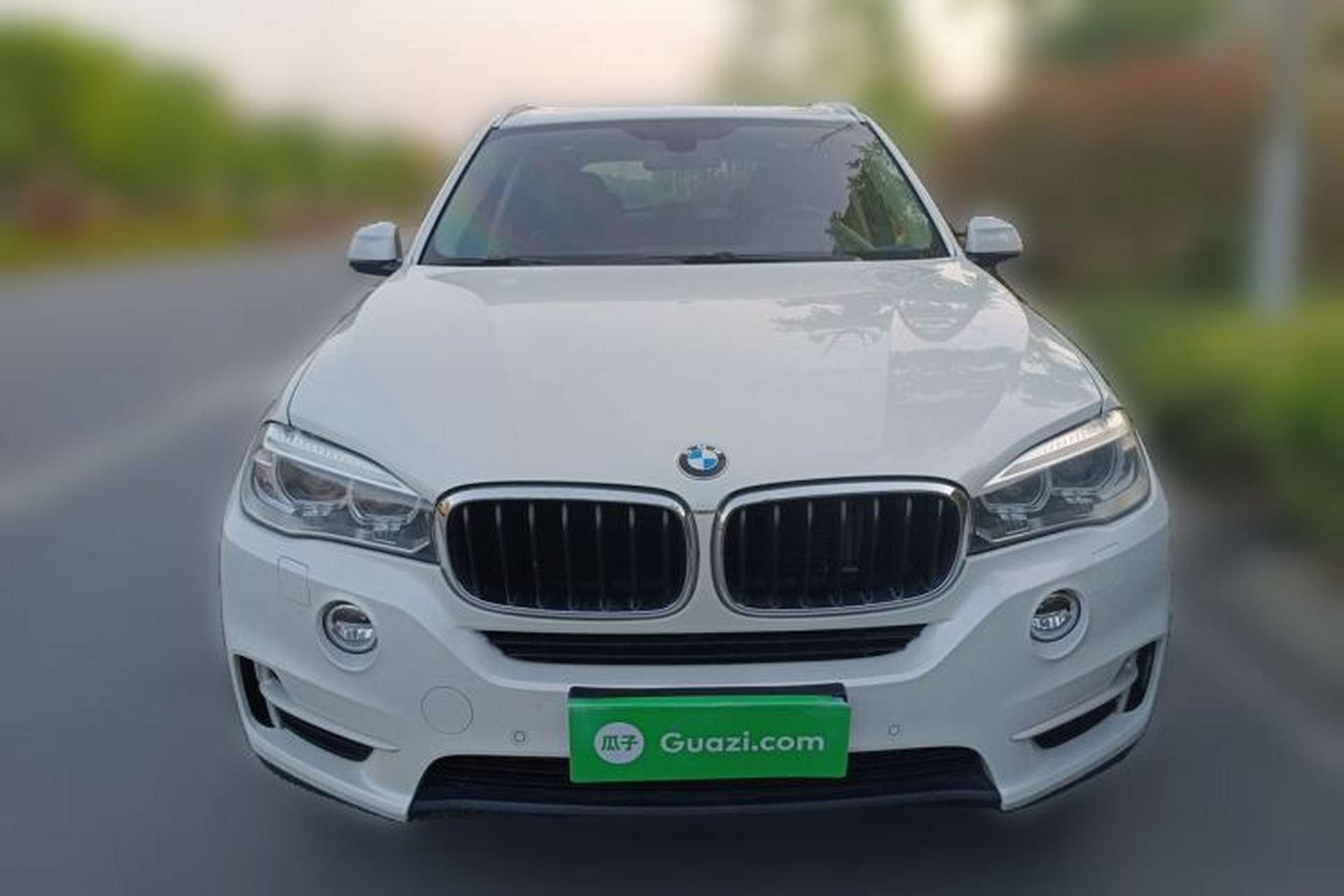 Used BMW X5 2014 xDrive35i Leading Model Front