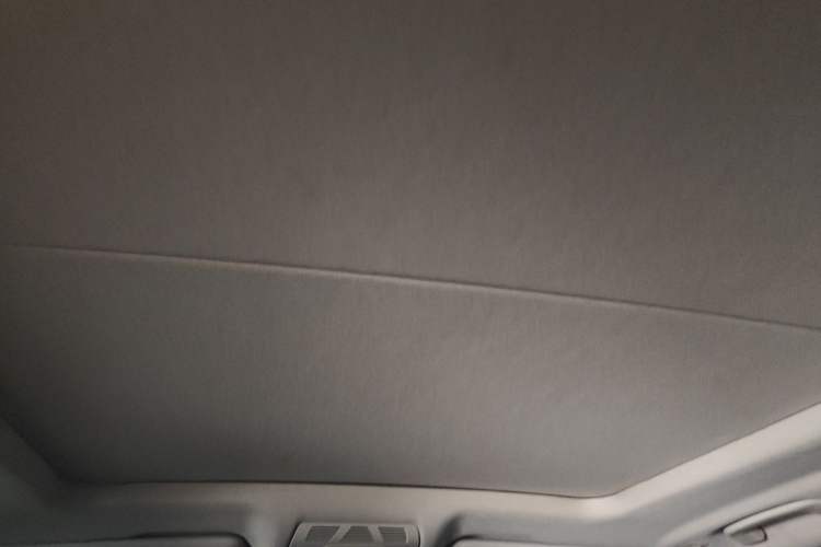 Used BMW X5 2014 xDrive35i Elegant Edition Headliner