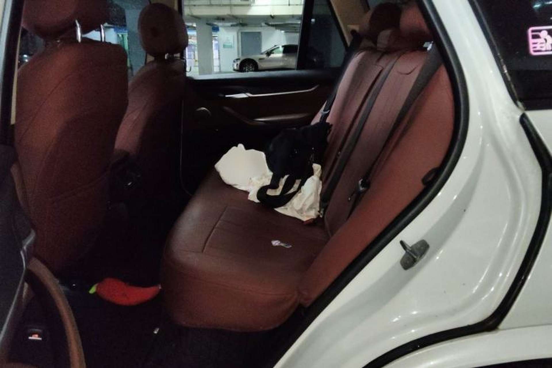 Used BMW X5 2014 xDrive35i Elegant Edition Left Rear Seat