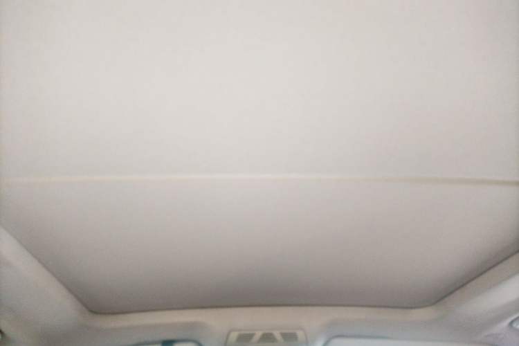 Used BMW X5  Headliner
