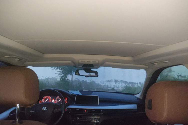 Used BMW X5 2015 xDrive35i China Limited Edition Headliner