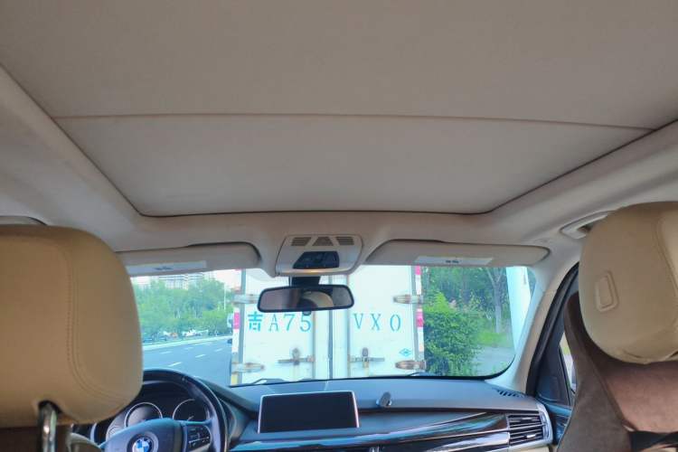 Used BMW X5  Headliner