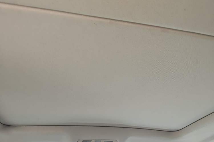 Used BMW X5  Headliner