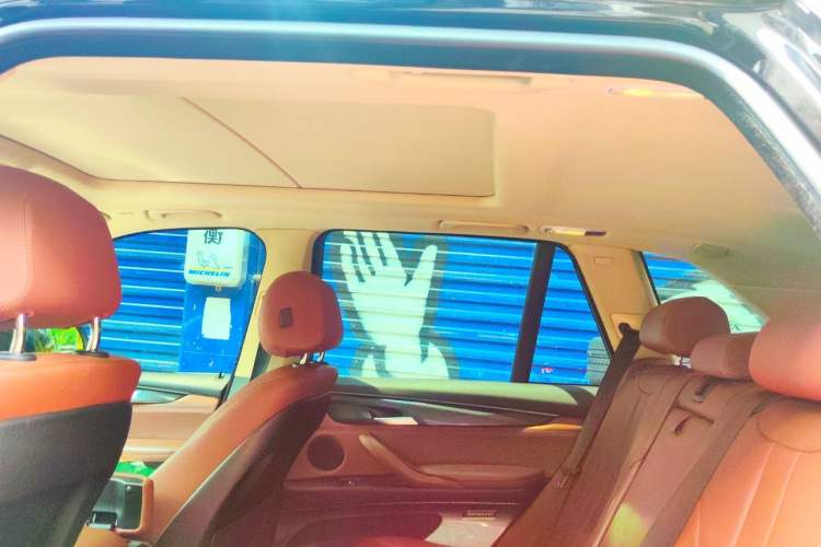 Used BMW X5  Headliner