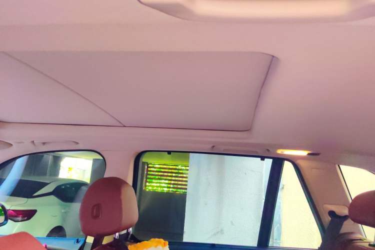 Used BMW X5  Headliner